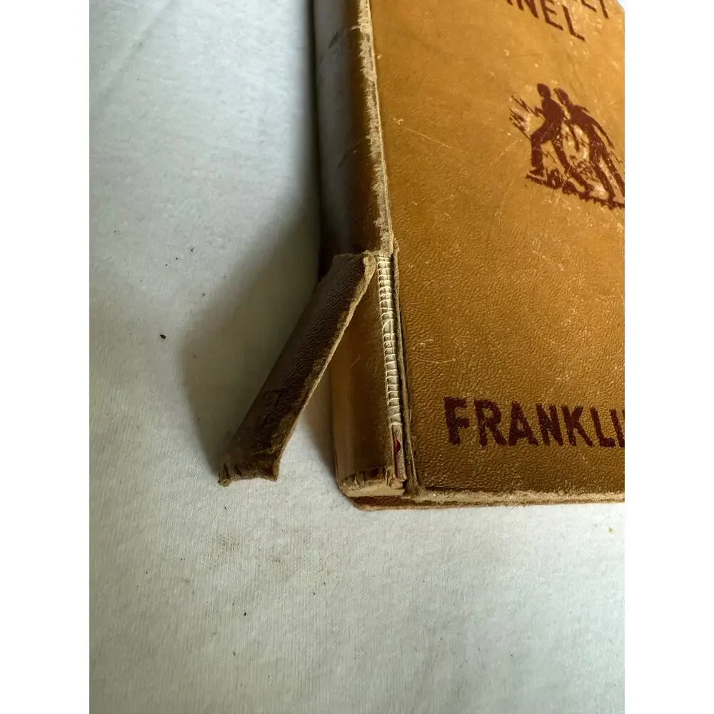 Franklin W. Dixon book has